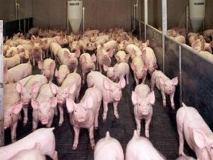 ธนาคารเพื่อการพัฒนาเอเชียปล่อยเงินกู้ ๑๑๒ ล้านเหรียญสหรัฐแก่เวียดนาม